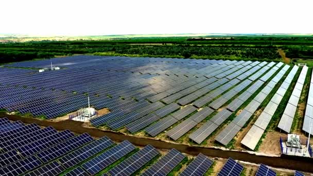 Aerial View Solar Panels Farm Solar Cell Sunlight Drone Flight — Stok video