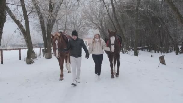 在乡村牧场上 和马一起在户外散步 男人和女人领导马 马和小马跟着这对马 — 图库视频影像