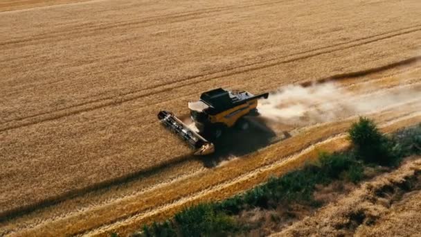 밭에서 일하는 우스터 기계들이 위에서 내려다보고 황금빛익은 밀밭을 수확하는 기계를 — 비디오
