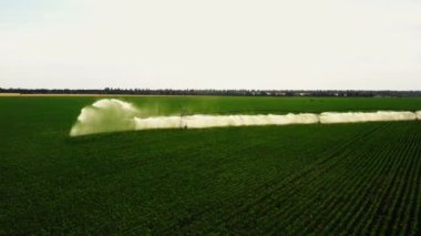 Tarımsal soya tarlalarındaki yağmur topu sulama sisteminin hava görüntüsü kurak mevsimde bitkilerin yetişmesine yardımcı olur, mahsul verimini artırır