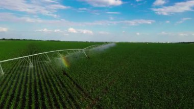 Patates tarlasında hava manzarası dönüyor, daha fazla büyüme için ekinleri suluyor. Merkezi pivot sistem sulama. Çiftlikteki tarlaları sulamak. Toprak ve sebzeler için modern sulama sistemi.