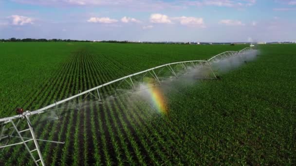 Aerial View Pivot Work Potato Field Watering Crop More Growth — Vídeo de stock
