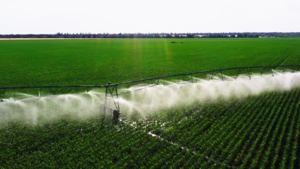 Aerial View Pivot Work Potato Field Watering Crop More Growth — Stock Video