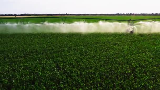 Aerial View Rain Cannon Irrigation System Agricultural Soybean Field Helps — Stockvideo