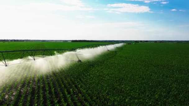 Aerial View Drone Shot Irrigation System Rain Gun Sprinkler Agricultural — Stockvideo
