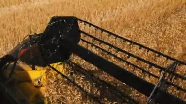 Tarımsal tarımsal tarlada hasat mahsulleri hasat eden birleşik hasatçının yavaş hareketi. Reel of Combine Harvester Buğday Kulaklarını Kesiyor.
