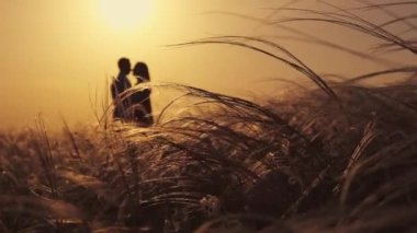 Rüzgarlı bir alanda yürüyen bir çift. Gölge çiftler. Aşık çift gün batımında romantik anlar yaşıyor.