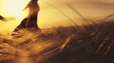 Aşık çift gün batımında romantik anlar yaşıyor. Yaz tatilindeki genç aşıklar. Aşk ya da balayı kavramı. Gün batımında siluet öpücüğü.