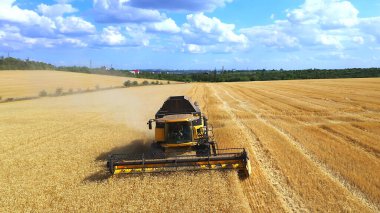 Harvesters wheat. harvesters a harvest wheat in the field. aerial drone filming harvesting. agriculture lifestyle business concept. combine tractor mows the wheat harvest gathers grains in the field