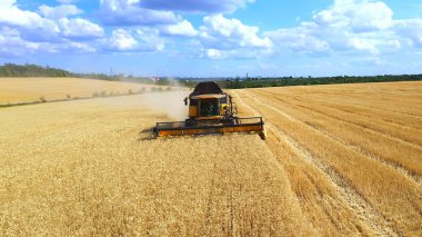 Harvesters wheat. harvesters a harvest wheat in the field. aerial drone filming harvesting. agriculture lifestyle business concept. combine tractor mows the wheat harvest gathers grains in the field