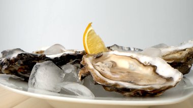 Gri arka planda limonlu bir tabak istiridye. İstiridye ve limonla servis edilir. Taze istiridyeler kapanıyor. Sağlıklı deniz ürünleri. Bir restoranda istiridye yemeği. Limonlu istiridye.