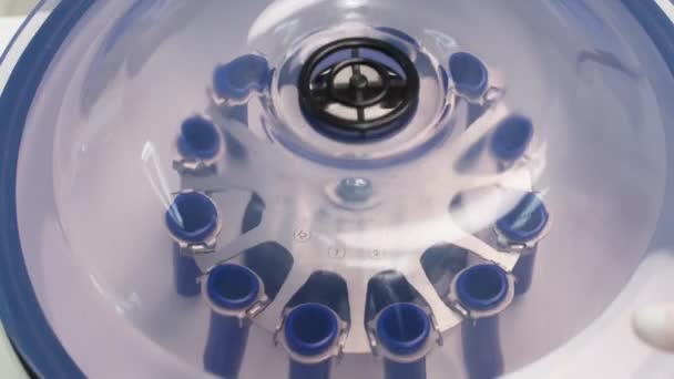 血で満たされた実験室の管の遠心分離器を使用して化学者の近くに実験室の血漿持ち上がる遠心分離器があります 良質の4K映像 — ストック動画