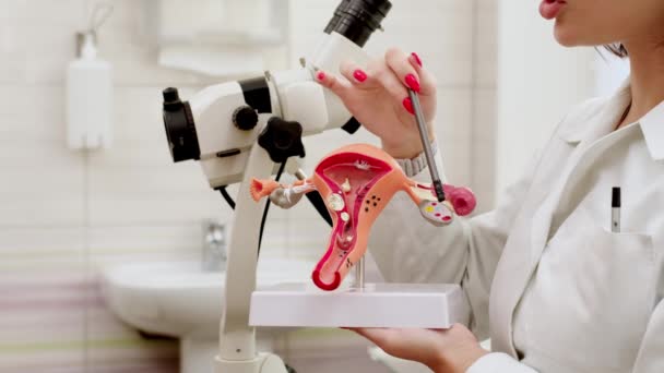 Gynekolog Förklarar Kvinnliga Sjukdomar För Patient Med Hjälp Plastmodell Livmodern — Stockvideo