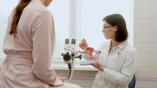 Гінеколог Пояснює Жіночі Хвороби Пацієнту Використовуючи Пластичну Модель Матки Яєчників — стокове відео