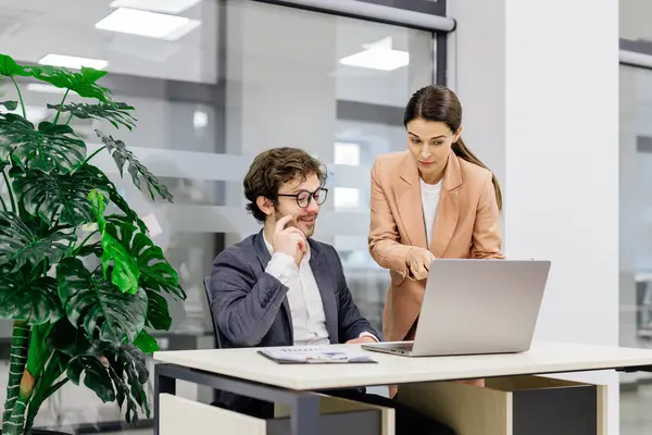 Direktör ve meslektaşım online iş hizmetlerini ve kurumsal yazılımı birlikte bir dizüstü bilgisayarda gözden geçiriyorlar. Ofiste liderlik, takım çalışması ve teknoloji danışmanlığı konuları için ideal..
