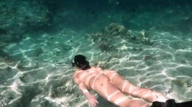 Okyanusa dalan genç bir kadın. Yüzmenin sevincini ve okyanus keşiflerinin güzelliğini göstermek için mükemmel..