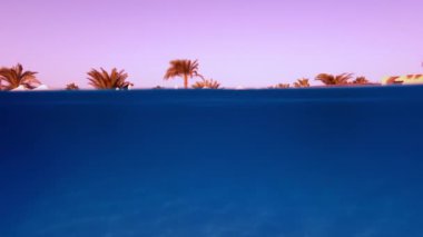 Tropikal tatil köyündeki yüzme havuzunun inanılmaz su altı manzarası