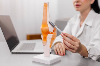 Ortopedi uzmanı detaylı değerlendirme için dizüstü bilgisayar ve diz eklem modeli kullanarak modern bir ofiste görüntüleme sonuçlarını analiz eder. Gelişmiş ortopedik tanı ve konsültasyonu gösterir.