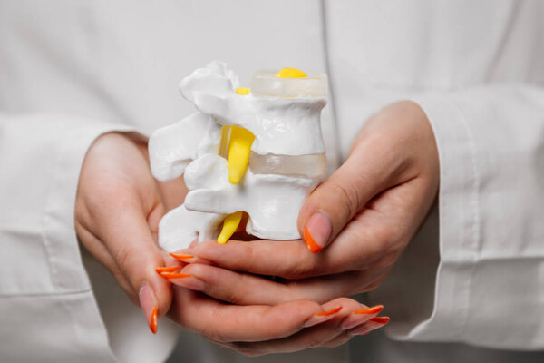 close-up view of doctor holding human bones plastic model, healthcare and medicine concept                