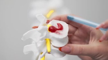 İnsan kemikleri tutan doktorların yakın plan görüntüsü plastik model, sağlık ve tıp konsepti                