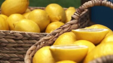 Hasır sepette olgun limonlar. Bahçede limon dolu bir sepet..