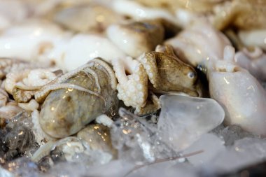 Mağaza raflarında sergilenen taze ve soğuk deniz ürünlerinin yakın çekimi. Deniz ürünleri, market alışverişi ve sağlıklı yemek kavramı..