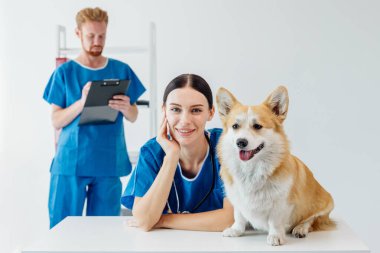 Mavi önlüklü kadın veteriner, masada bir Corgi ile gülümserken, arka plandaki erkek meslektaşı notlar alıyor ve karşılama kliniği ortamı yaratıyor.
