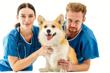 Veteriner takımı, mavi önlüklü bir kadın ve erkek, neşeli bir corgi köpeğiyle gülümsüyor, profesyonel bir klinikteki hayvan bakımına olan bağlılıklarını vurguluyorlar.