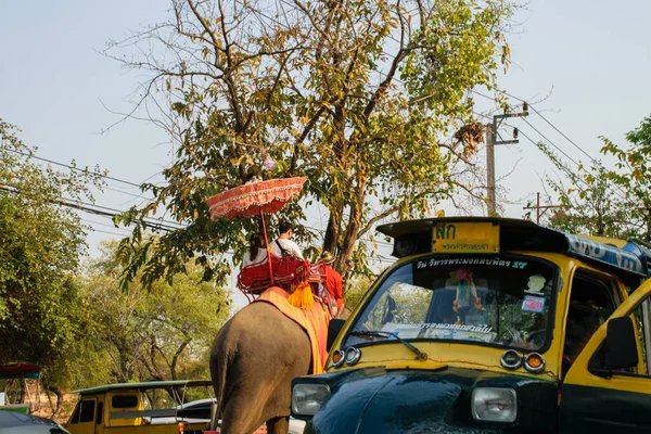 Coppia Turistica Che Viaggia Elefante Alle Rovine Ayuthaya Thailandia — Foto Stock