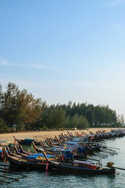 Tayland 'da turistler için popüler bir tatil yeri olan Koh Phi Phi Don sahilindeki liman manzarası