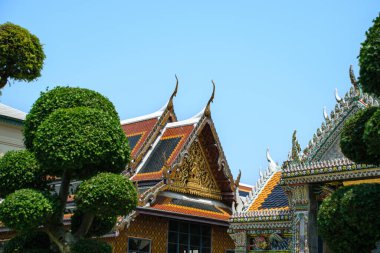 Zümrüt Buddha Tapınağı ve Büyük Saray Bangkok, Tayland