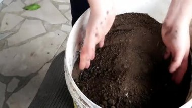 Toprağı tutan ve hareket eden eller. Dünya günü konsepti ve çevrenin ekolojisi.