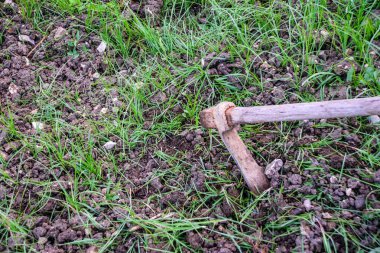 Çimlerle ve verimli topraklarla yetiştirmek için tarlada çapa görüntüsü. Çevrenin tarım kavramı ve ekolojisi.