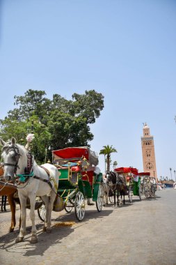 Koutobia 'da turistik bir yer. Marakeş' te at arabaları var. Fas.
