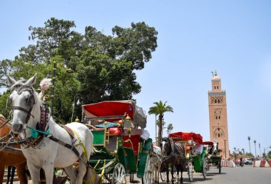 Koutobia 'da turistik bir yer. Marakeş' te at arabaları var. Fas.