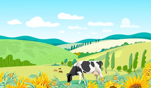  Summer rural background with cows. Vector illustration.