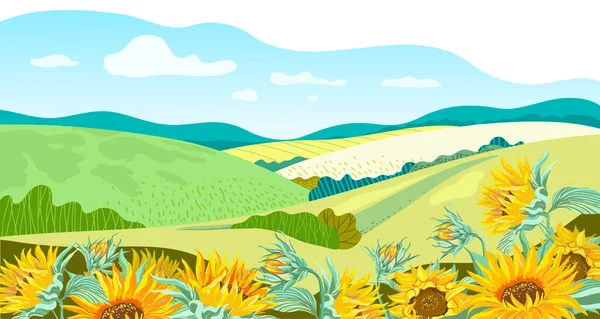  Rural hills and meadows. Scenery. Pasture grass for cows and a place for vegetable gardens and farming. Horizon. Beautiful view. Summer. Summer mountain landscape. Vector illustration.