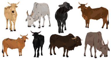 Çiftlik hayvanları inek illüstrasyon vektörü seti