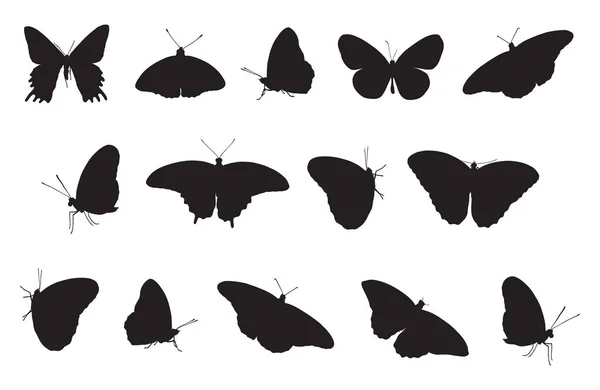 Kompletní Sada Siluet Motýlů Vektorové Ilustrace — Stockový vektor