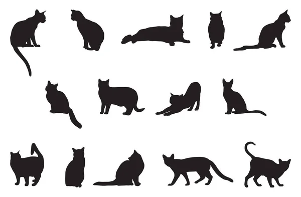 Zestaw Sylwetek Kotów Wektor Ilustracji — Wektor stockowy