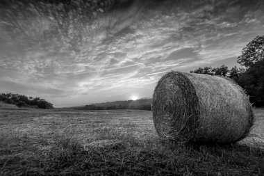 Hay bale on the field at sunset. Black and white photo.