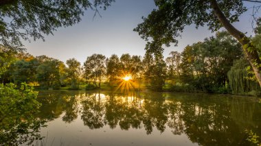 Reflection of trees in the lake at sunset. Summer landscape.