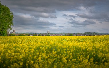 Arka planda Soissons katedrali olan tecavüz tarlası.