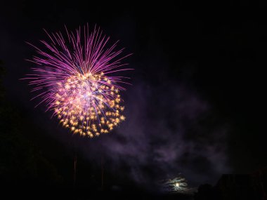 Gece gökyüzünde çeşitli renklerde renkli havai fişekler. Güzel soyut arkaplan