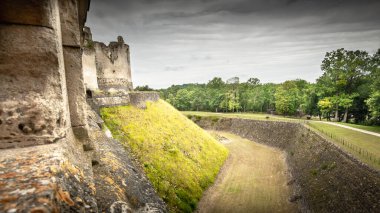 13. yüzyılın başından beri Hauts-de-France bölgesindeki Aisne Bölgesi 'ndeki Fre-en-Tardenois kasabasında harabeleri bulunan antik güçlendirilmiş kale.