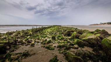 Sahilde alçak gelgit