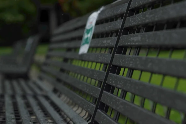 Yağış ve Park Bench 'e 1 metre mesafede.