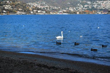 Kışın Como Gölü Kahverengimsi dağlarla.
