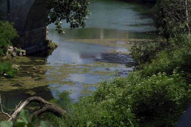 Eski Roma köprüsünün altından akan flora kaplı romantik dere