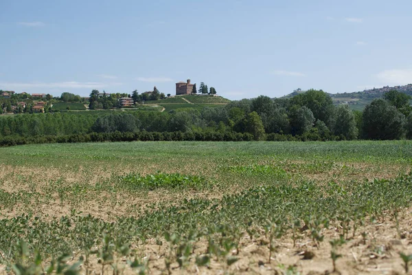 Una Vasta Terra Verde Con Sullo Sfondo Antico Castello Grinzane — Foto Stock